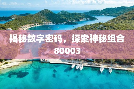 揭秘數(shù)字密碼，探索神秘組合80003