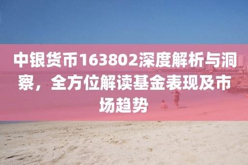 中銀貨幣163802深度解析與洞察，全方位解讀基金表現(xiàn)及市場趨勢