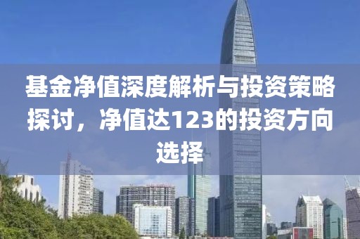 基金净值深度解析与投资策略探讨，净值达123的投资方向选择