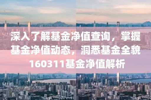 深入了解基金净值查询，掌握基金净值动态，洞悉基金全貌 160311基金净值解析