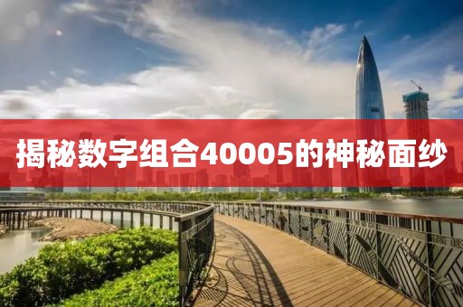 揭秘數(shù)字組合40005的神秘面紗