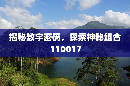 揭秘數字密碼，探索神秘組合110017