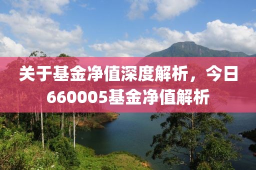 關(guān)于基金凈值深度解析，今日660005基金凈值解析