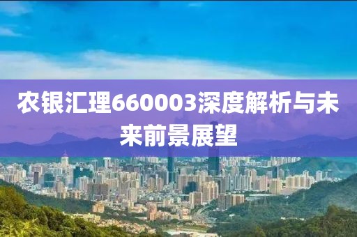 農(nóng)銀匯理660003深度解析與未來前景展望