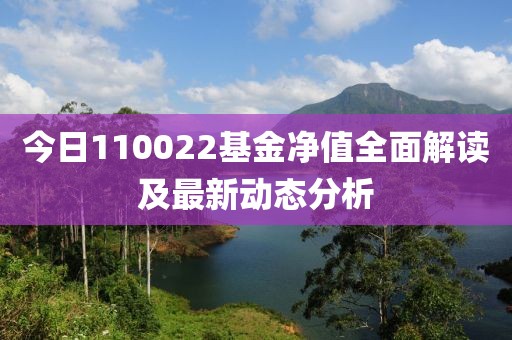 今日110022基金凈值全面解讀及最新動態分析