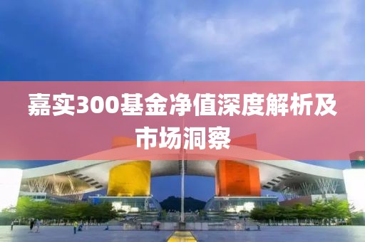 嘉實300基金凈值深度解析及市場洞察