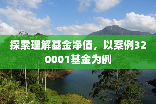 探索理解基金凈值，以案例320001基金為例