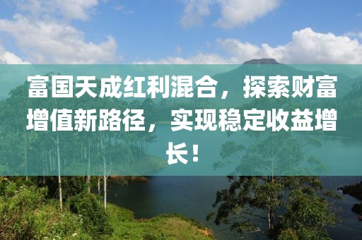 富國(guó)天成紅利混合，探索財(cái)富增值新路徑，實(shí)現(xiàn)穩(wěn)定收益增長(zhǎng)！