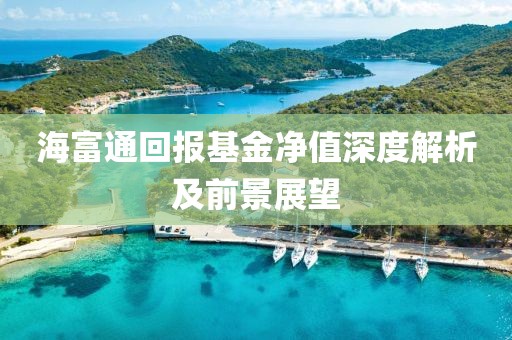 海富通回報基金凈值深度解析及前景展望