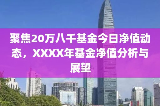 聚焦20万八千基金今日净值动态，XXXX年基金净值分析与展望