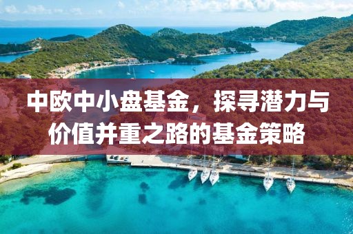 中欧中小盘基金，探寻潜力与价值并重之路的基金策略