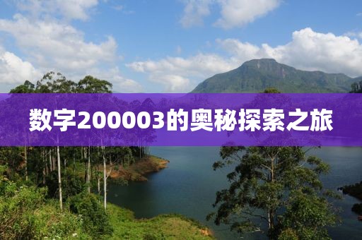 數字200003的奧秘探索之旅