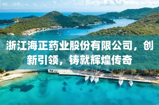 浙江海正藥業股份有限公司，創新引領，鑄就輝煌傳奇