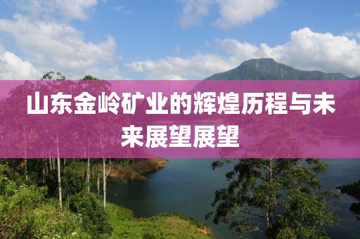 山東金嶺礦業的輝煌歷程與未來展望展望