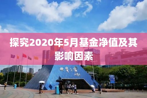 探究2020年5月基金凈值及其影響因素