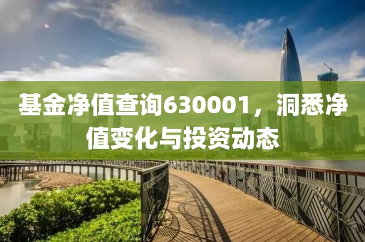 基金凈值查詢630001，洞悉凈值變化與投資動態(tài)