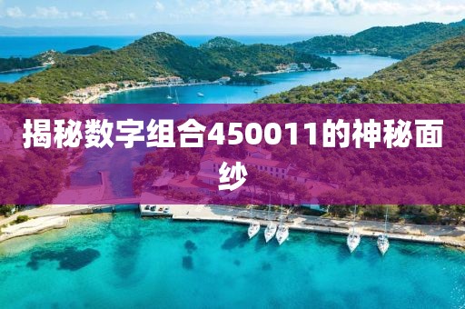 揭秘數(shù)字組合450011的神秘面紗