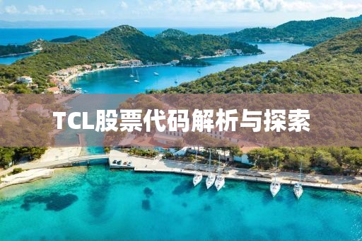 TCL股票代码解析与探索