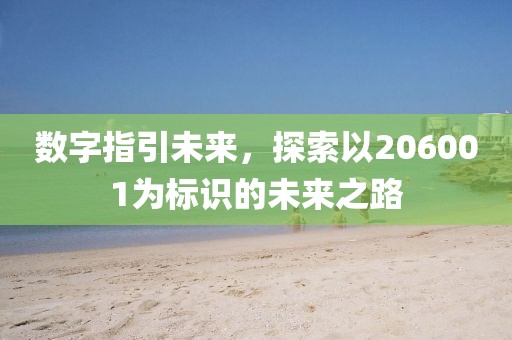 數(shù)字指引未來，探索以206001為標識的未來之路