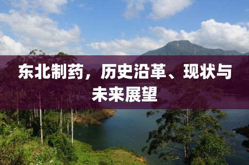 東北制藥，歷史沿革、現(xiàn)狀與未來展望