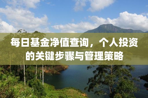 每日基金凈值查詢，個(gè)人投資的關(guān)鍵步驟與管理策略