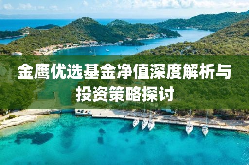 金鷹優選基金凈值深度解析與投資策略探討