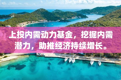 上投內需動力基金，挖掘內需潛力，助推經濟持續增長。