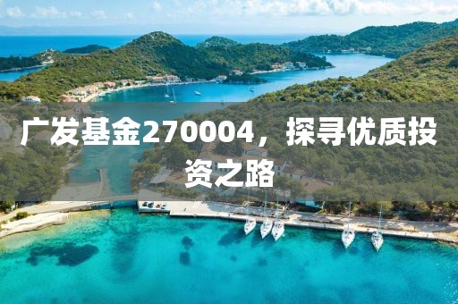 广发基金270004，探寻优质投资之路