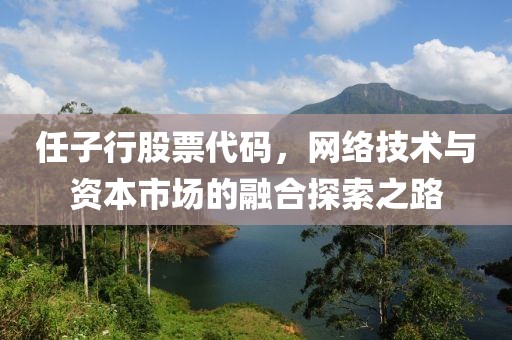 任子行股票代碼，網(wǎng)絡技術與資本市場的融合探索之路