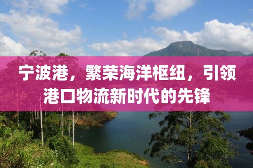 寧波港，繁榮海洋樞紐，引領港口物流新時代的先鋒