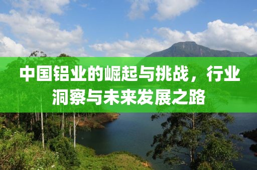 中國(guó)鋁業(yè)的崛起與挑戰(zhàn)，行業(yè)洞察與未來(lái)發(fā)展之路