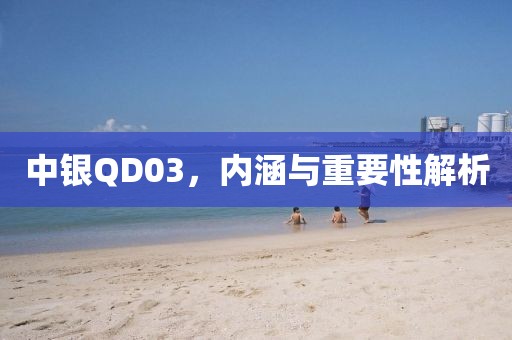 中银QD03，内涵与重要性解析