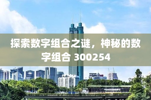 探索數字組合之謎，神秘的數字組合 300254