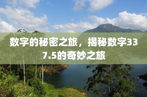 數字的秘密之旅，揭秘數字337.5的奇妙之旅