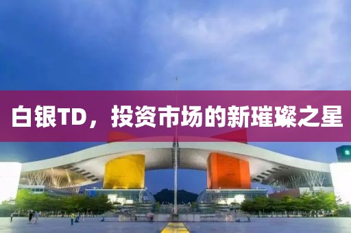 白銀TD，投資市場的新璀璨之星