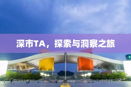 深市TA，探索與洞察之旅