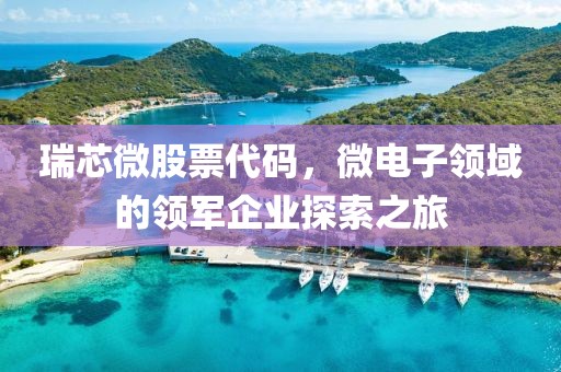 瑞芯微股票代码，微电子领域的领军企业探索之旅