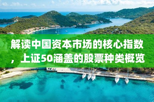 解讀中國資本市場的核心指數(shù)，上證50涵蓋的股票種類概覽