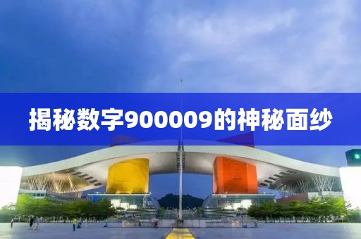 揭秘數(shù)字900009的神秘面紗