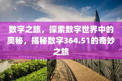 數(shù)字之旅，探索數(shù)字世界中的奧秘，揭秘數(shù)字364.51的奇妙之旅