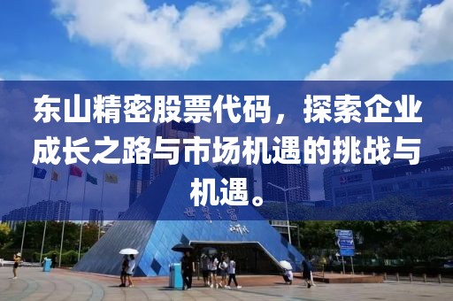 东山精密股票代码，探索企业成长之路与市场机遇的挑战与机遇。