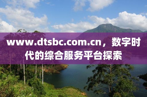 www.dtsbc.com.cn，數字時代的綜合服務平臺探索