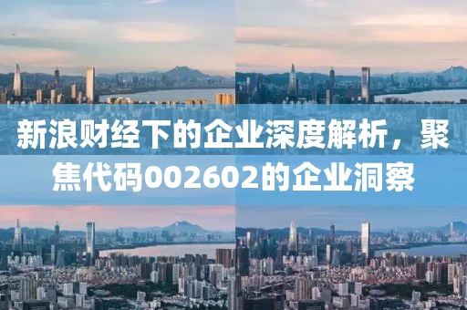 新浪財(cái)經(jīng)下的企業(yè)深度解析，聚焦代碼002602的企業(yè)洞察