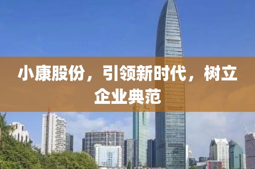 小康股份，引領新時代，樹立企業典范