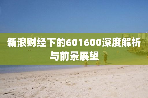 新浪財經下的601600深度解析與前景展望