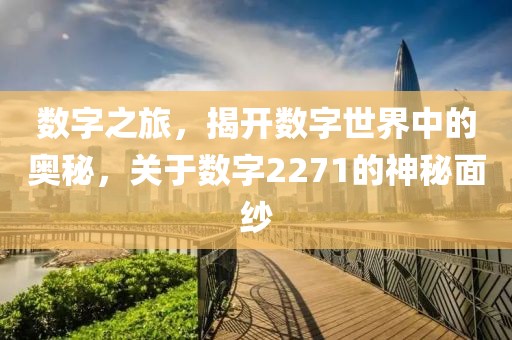 数字之旅，揭开数字世界中的奥秘，关于数字2271的神秘面纱