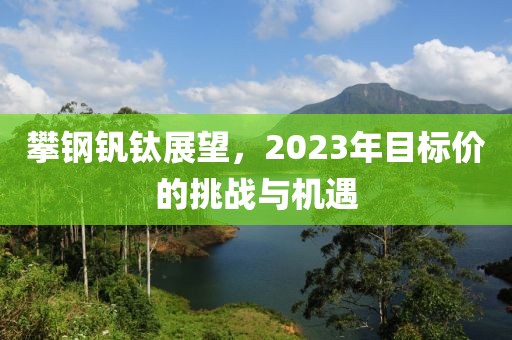 攀钢钒钛展望，2023年目标价的挑战与机遇