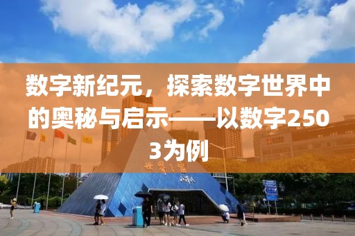 数字新纪元，探索数字世界中的奥秘与启示——以数字2503为例