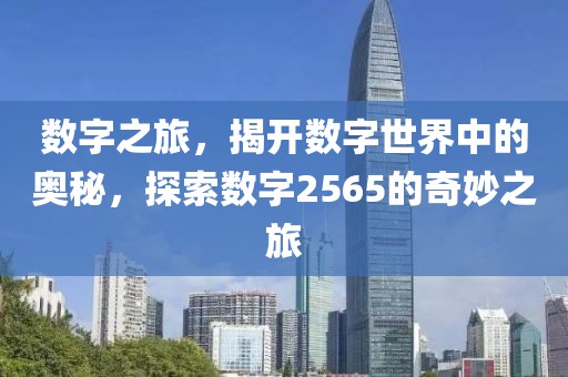 数字之旅，揭开数字世界中的奥秘，探索数字2565的奇妙之旅