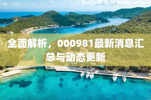 全面解析，000981最新消息匯總與動(dòng)態(tài)更新